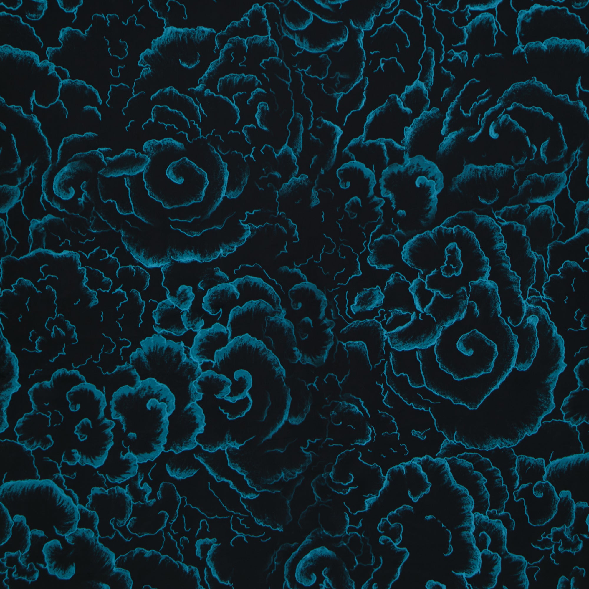 CANGA CALÇADÅO ESTAMPADA